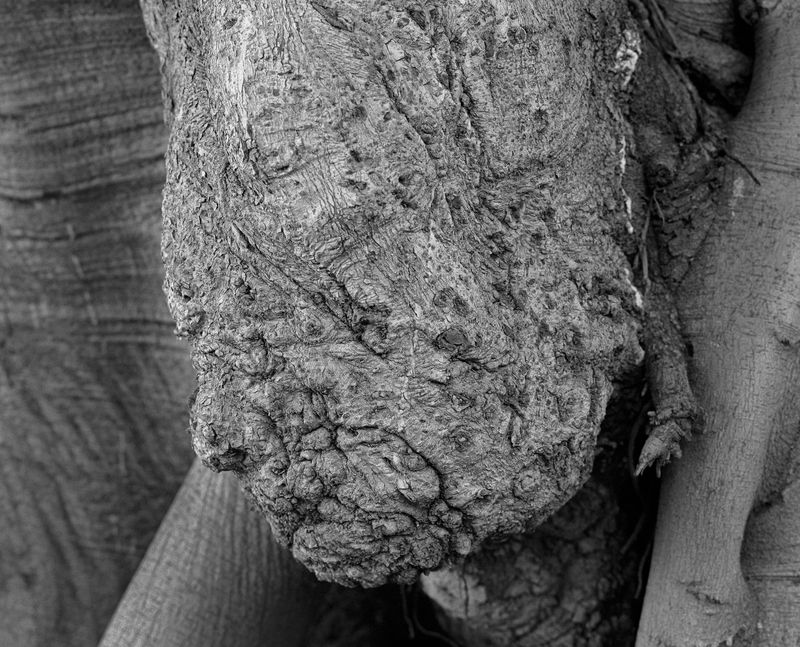 © Filippo Menichetti Martin Errichiello - Image from the in fourth person photography project