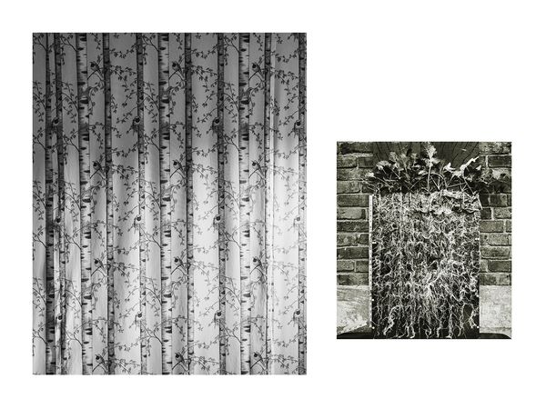 © Marion Belanger - Image from the Wired Forest photography project