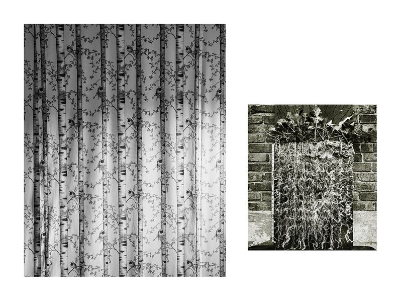 © Marion Belanger - Image from the Wired Forest photography project