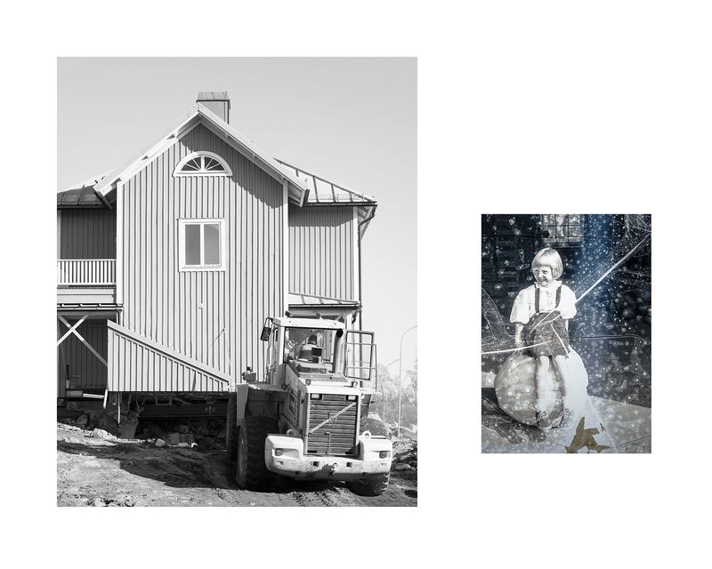 © Marion Belanger - Image from the Wired Forest photography project