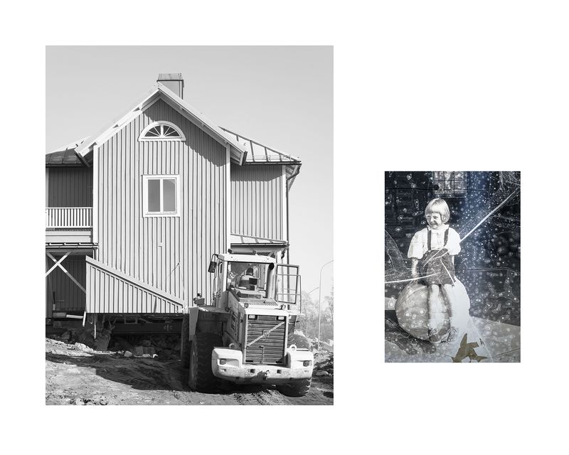 © Marion Belanger - Image from the Wired Forest photography project