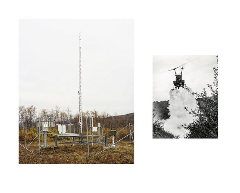 © Marion Belanger - Image from the Wired Forest photography project