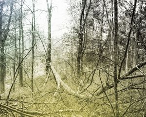 Lost Lake