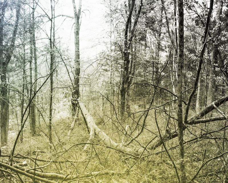 © Marion Belanger - Image from the Lost Lake photography project