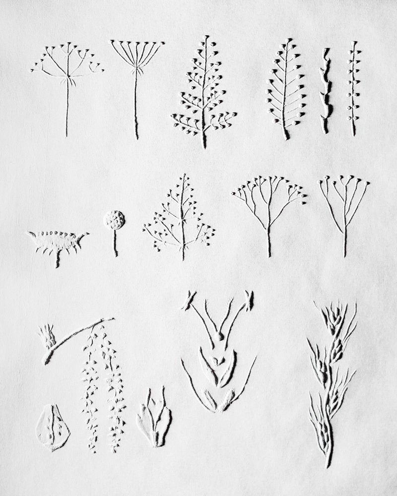 © Marion Belanger - Image from the Lost Lake photography project