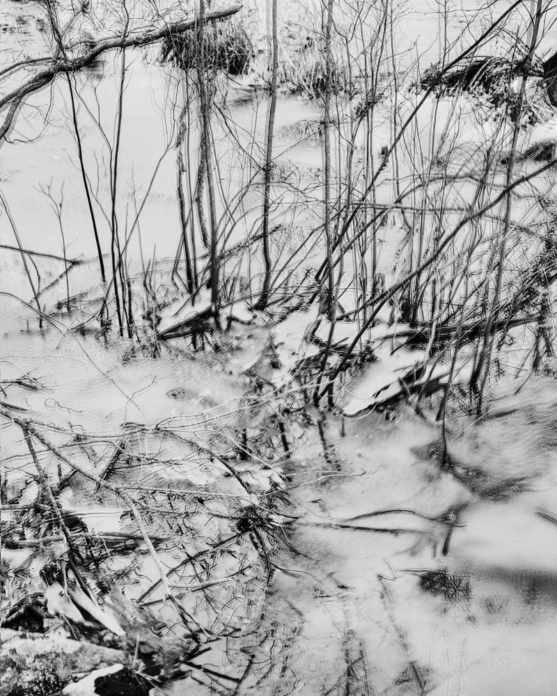 © Marion Belanger - Image from the Lost Lake photography project