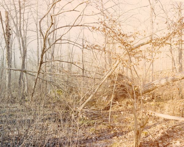 © Marion Belanger - Image from the Lost Lake photography project