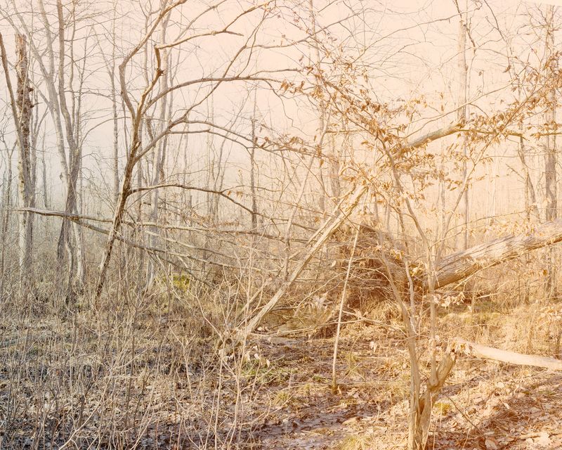 © Marion Belanger - Image from the Lost Lake photography project