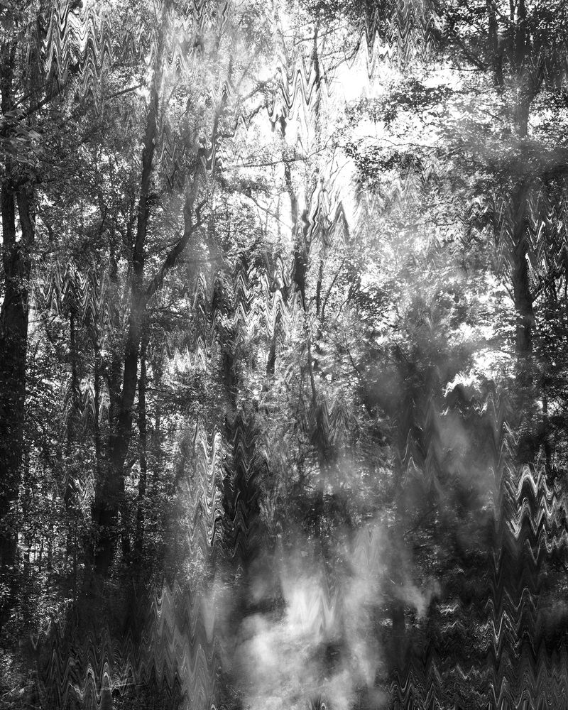 © Marion Belanger - Image from the Lost Lake photography project