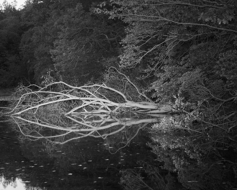 © Marion Belanger - Image from the Lost Lake photography project