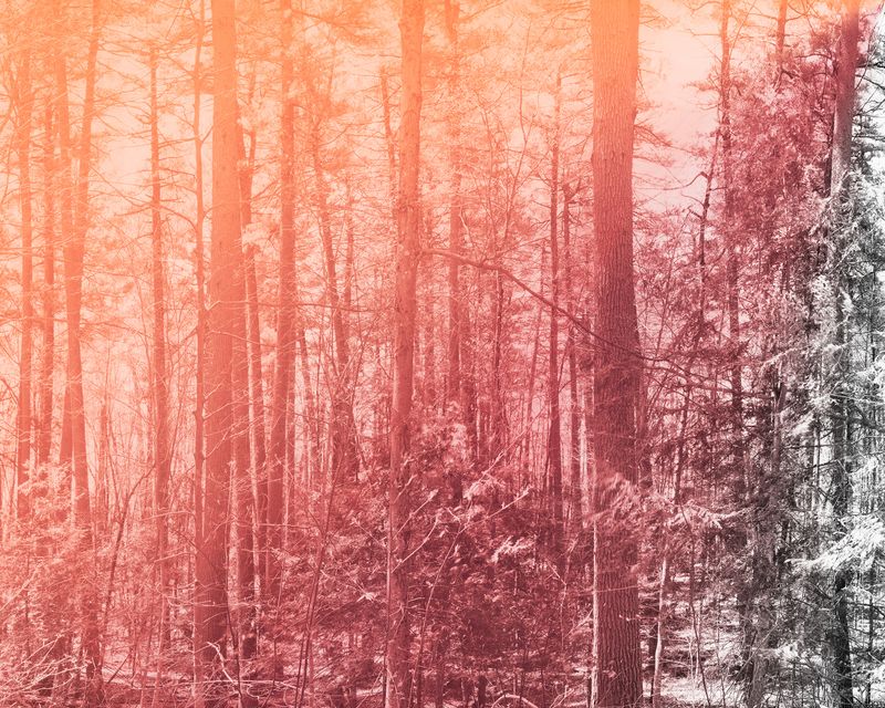 © Marion Belanger - Image from the Lost Lake photography project