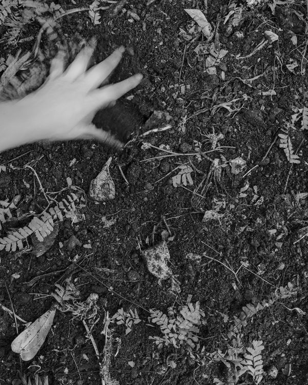 © Marion Belanger - Image from the Lost Lake photography project