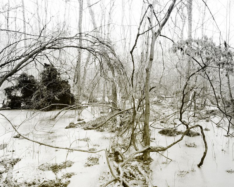 © Marion Belanger - Image from the Lost Lake photography project