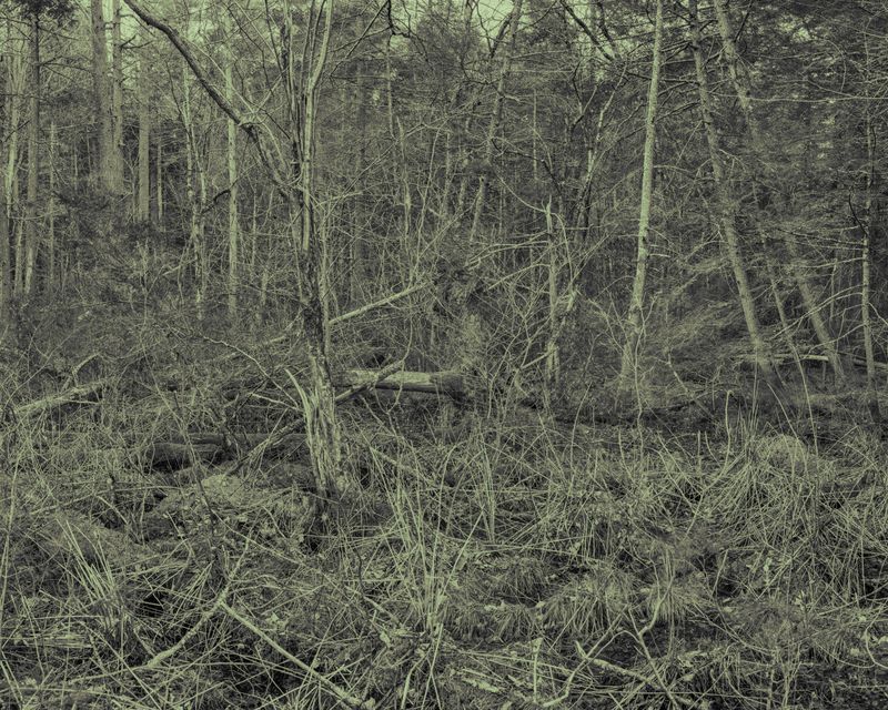 © Marion Belanger - Image from the Lost Lake photography project