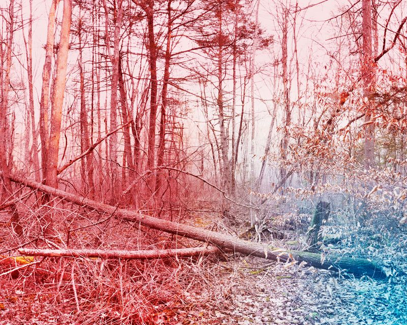 © Marion Belanger - Image from the Lost Lake photography project