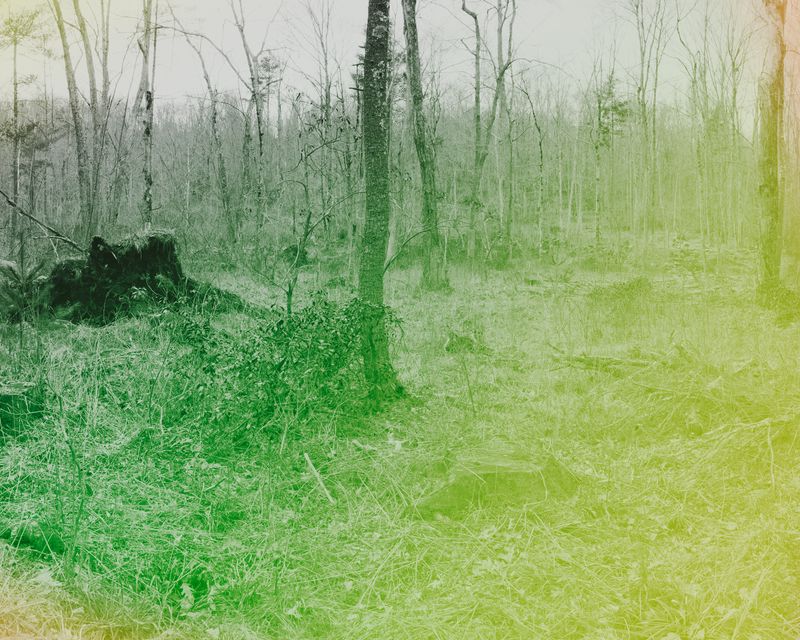 © Marion Belanger - Image from the Lost Lake photography project