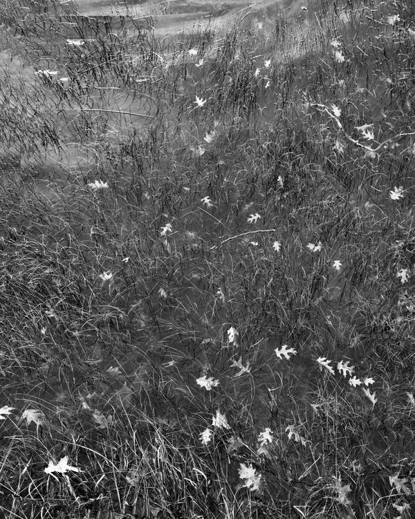 © Marion Belanger - Image from the Lost Lake photography project