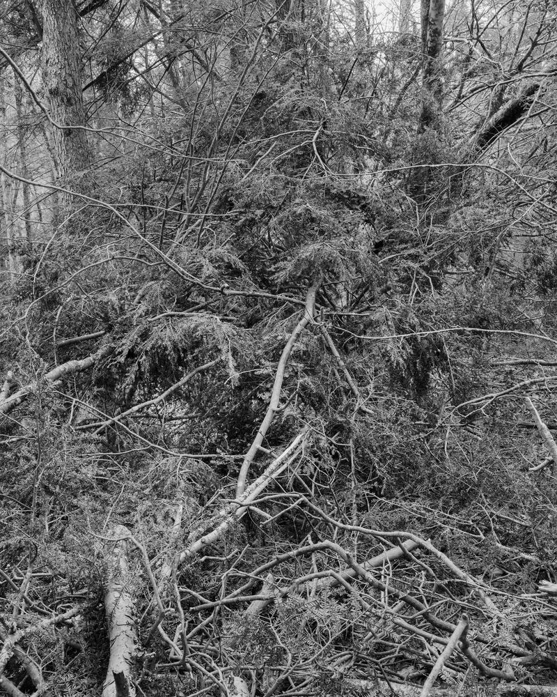 © Marion Belanger - Image from the Lost Lake photography project