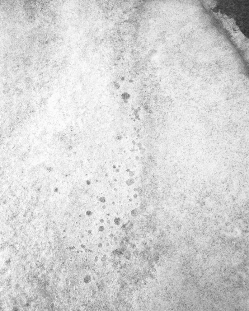 © Marion Belanger - Image from the Lost Lake (Estuary) photography project