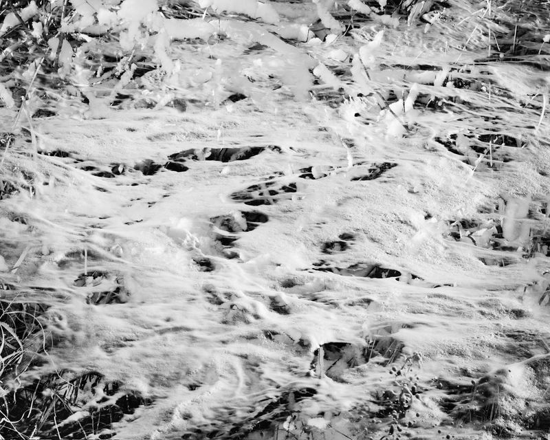 © Marion Belanger - Image from the Lost Lake (Estuary) photography project