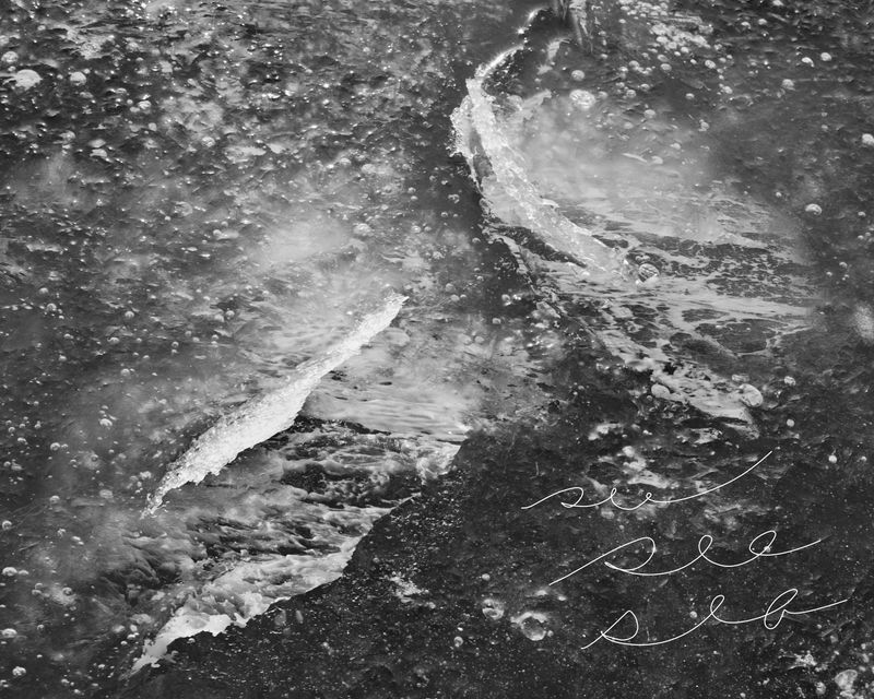 © Marion Belanger - Image from the Lost Lake (Estuary) photography project