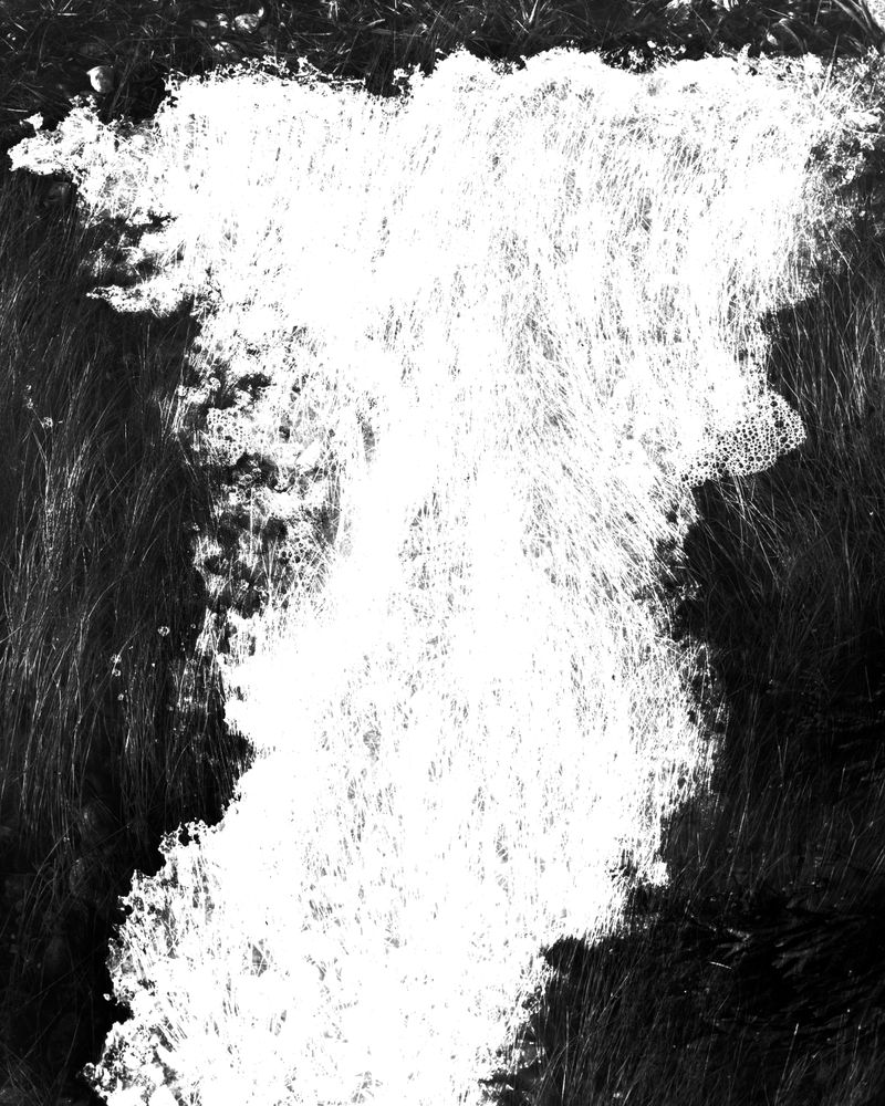 © Marion Belanger - Image from the Lost Lake (Estuary) photography project