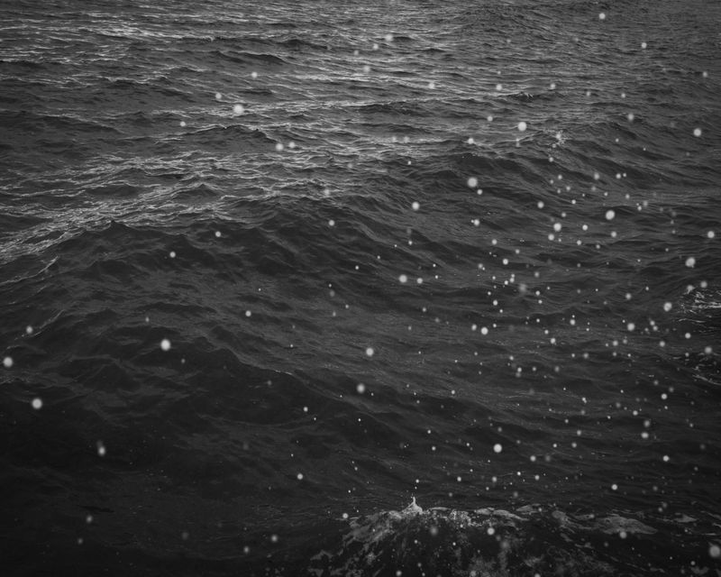 © Marion Belanger - Image from the Lost Lake (Estuary) photography project