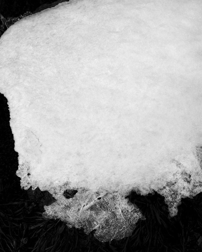 © Marion Belanger - Image from the Lost Lake (Estuary) photography project