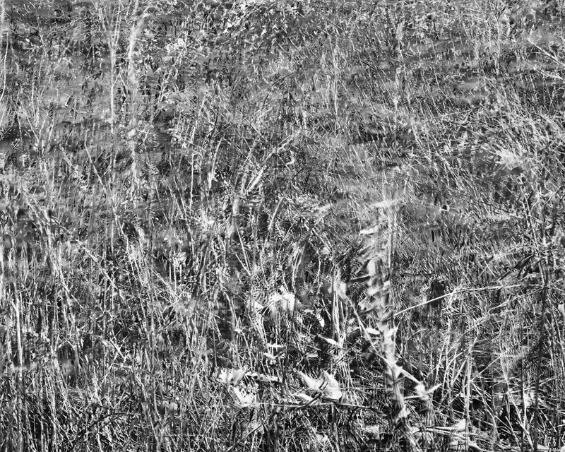 © Marion Belanger - Image from the Lost Lake (Estuary) photography project