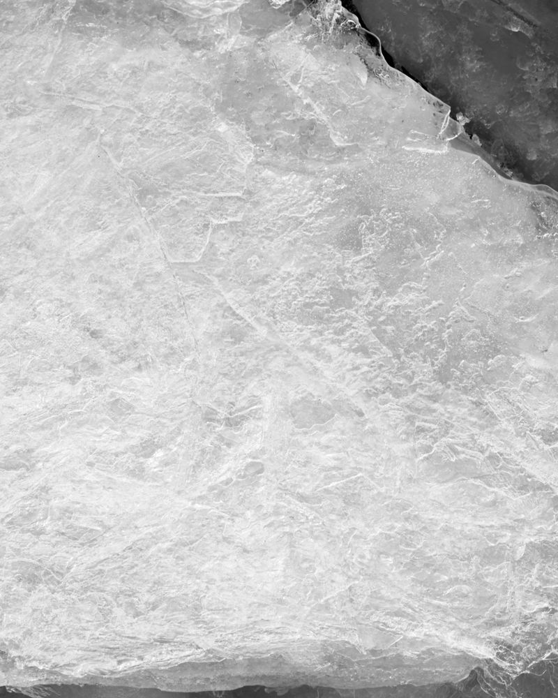 © Marion Belanger - Image from the Lost Lake (Estuary) photography project