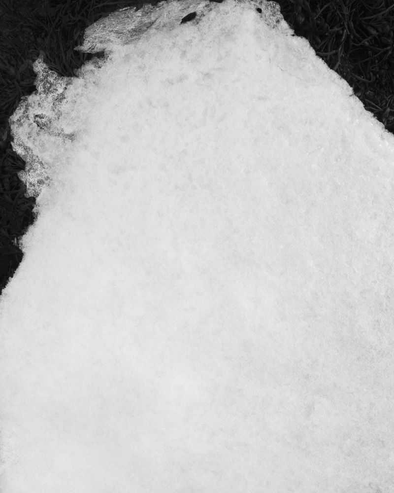 © Marion Belanger - Image from the Lost Lake (Estuary) photography project