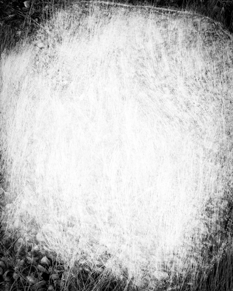 © Marion Belanger - Image from the Lost Lake (Estuary) photography project