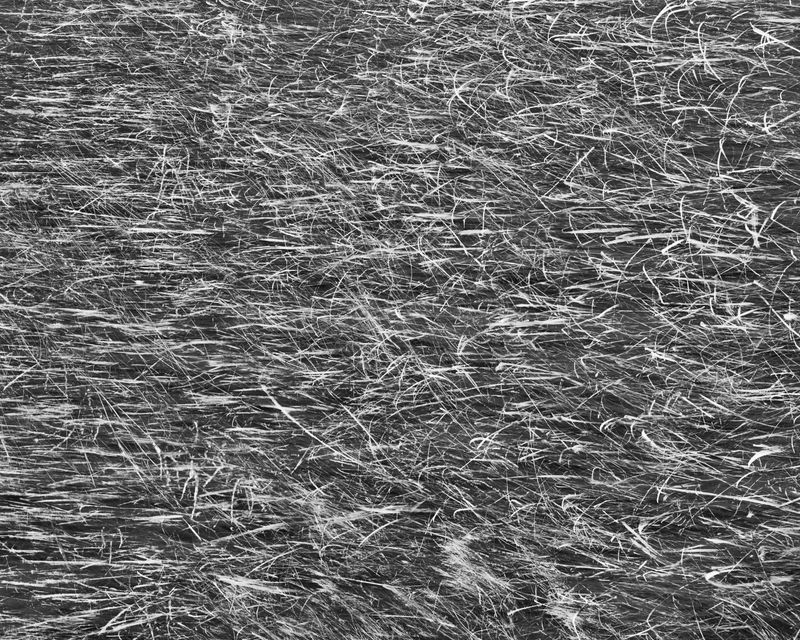 © Marion Belanger - Image from the Lost Lake (Estuary) photography project