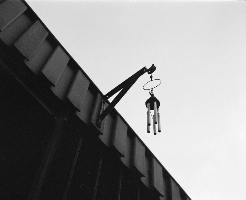 © Laila Annmarie Stevens - Image from the Clayton Sisterhood Project photography project