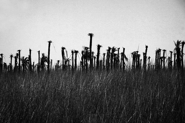 © Fatemeh Behboudi - Image from the THIS CITY HAS NO HEROES photography project