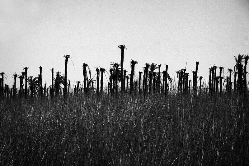 © Fatemeh Behboudi - Image from the THIS CITY HAS NO HEROES photography project