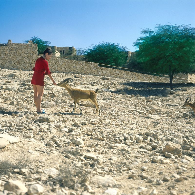 © Sivan Elirazi - After JFK