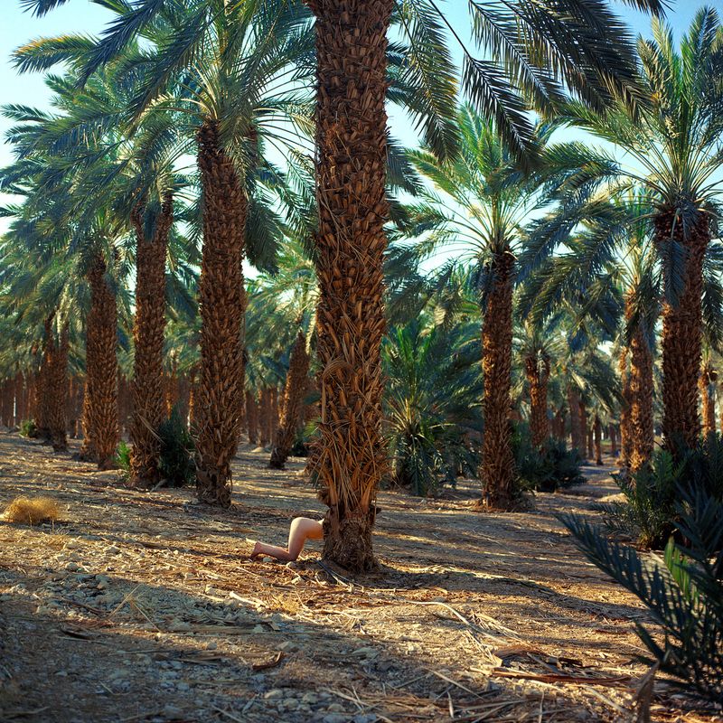 © Sivan Elirazi - Foreign fruit