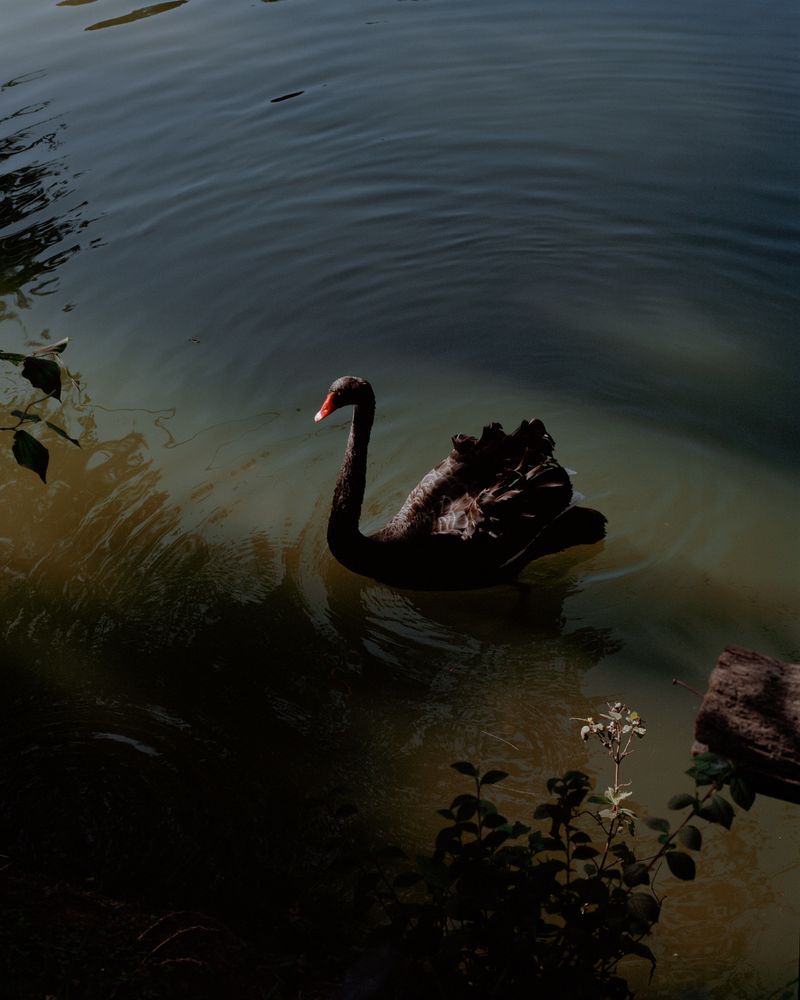 © Juan Brenner - Image from the TONATIUH photography project