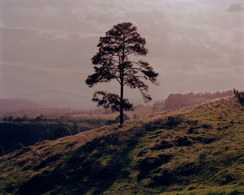 © Juan Brenner - Image from the TONATIUH photography project