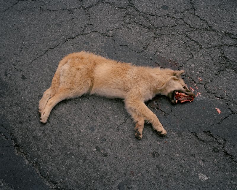 © Juan Brenner - Image from the TONATIUH photography project