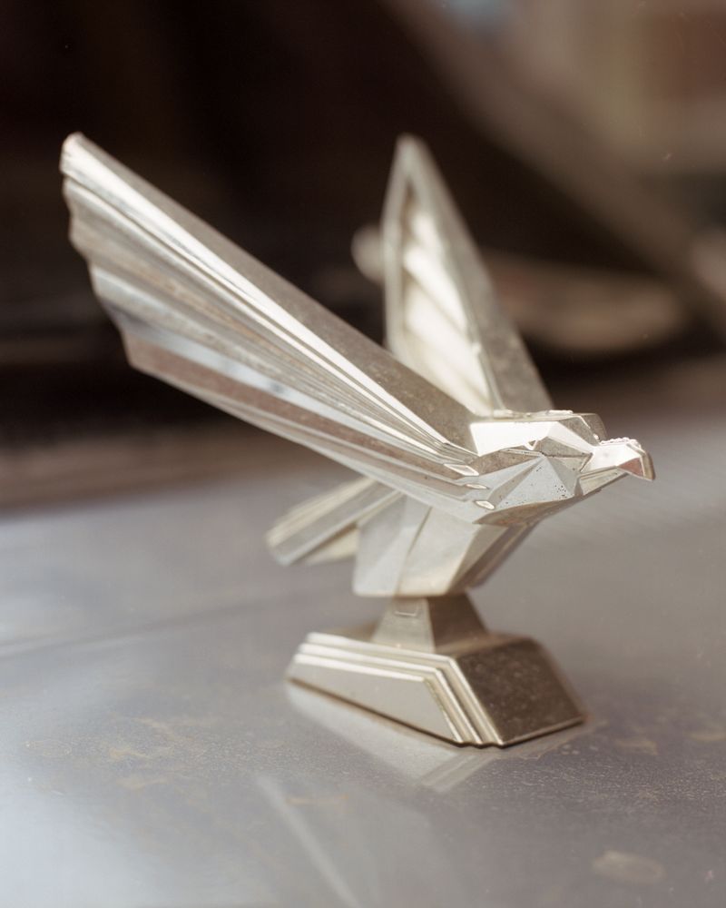 © Juan Brenner - Image from the GENESIS photography project