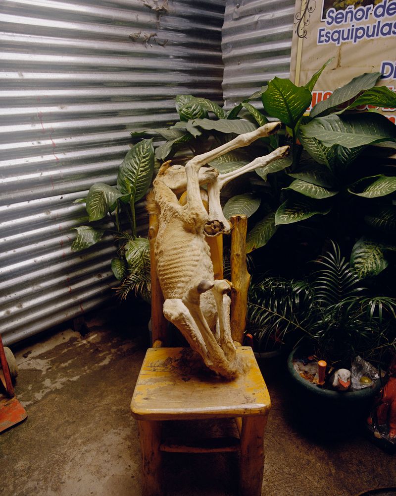 © Juan Brenner - Image from the Tatita photography project