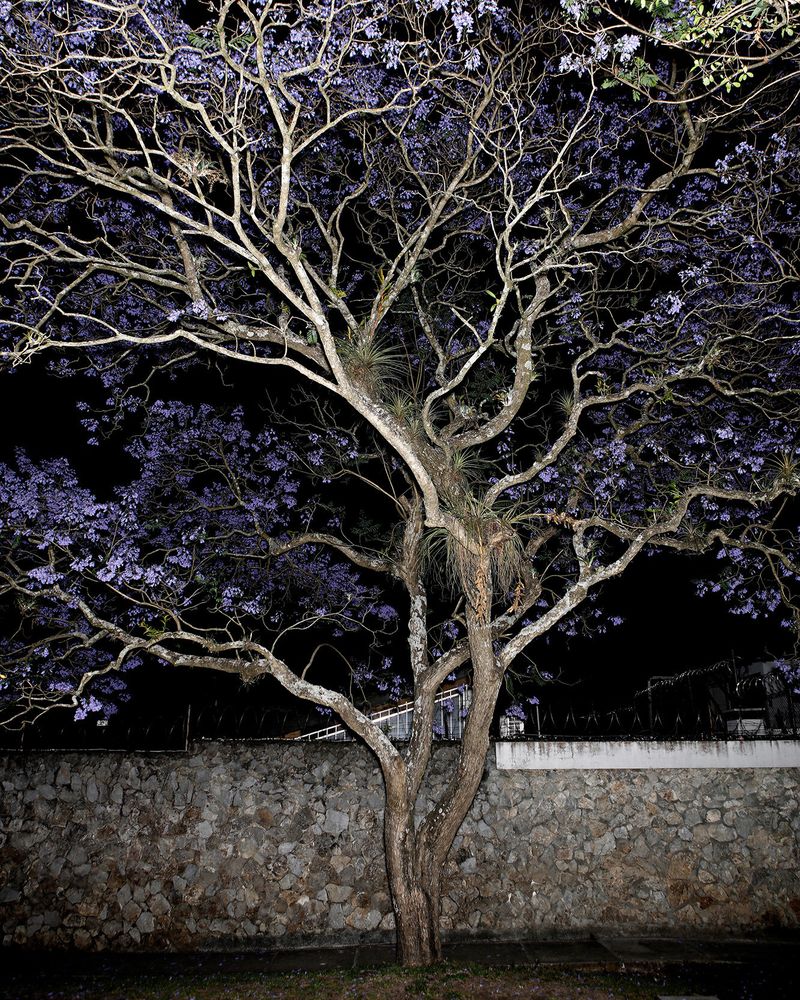 © Juan Brenner - Image from the INSIDIA photography project