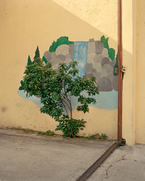 © Juan Brenner - Image from the The Ravine, the Virgin, & the Spring. photography project