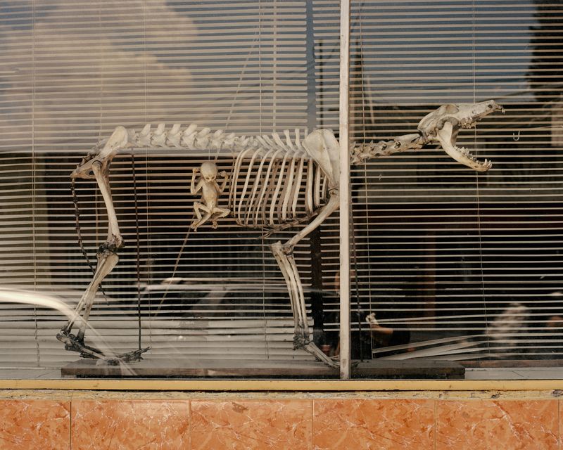 © Juan Brenner - Image from the The Ravine, the Virgin, & the Spring. photography project