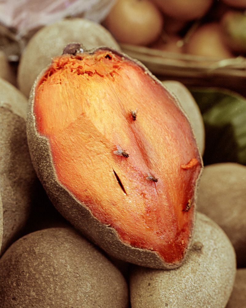 © Juan Brenner - Image from the GENESIS photography project