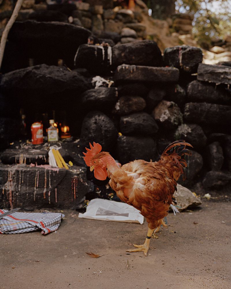 © Juan Brenner - Image from the GENESIS photography project