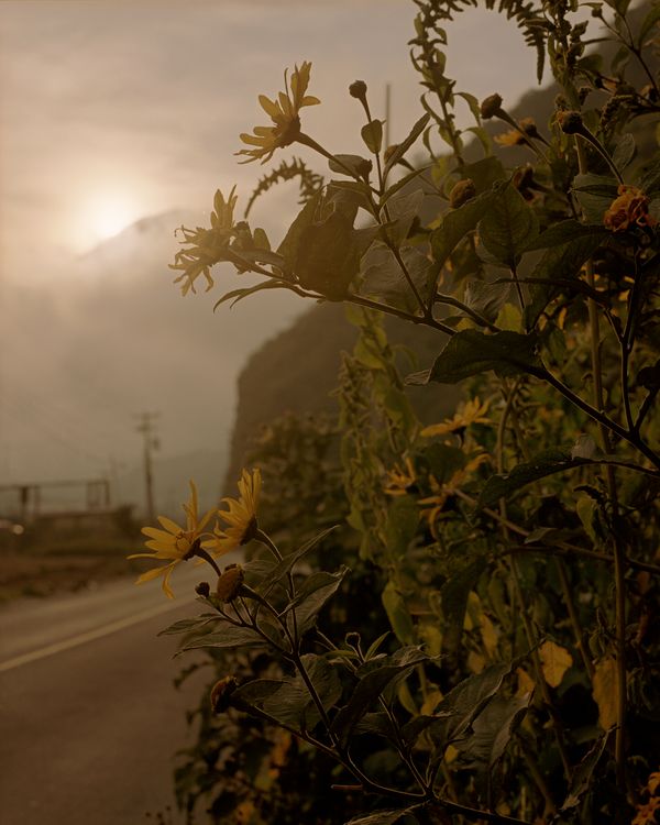 © Juan Brenner - Image from the GENESIS photography project