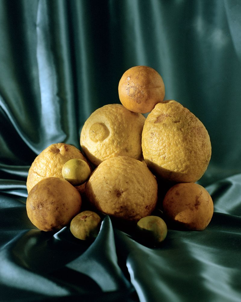 © Juan Brenner - Image from the THIS UNIVERSE photography project